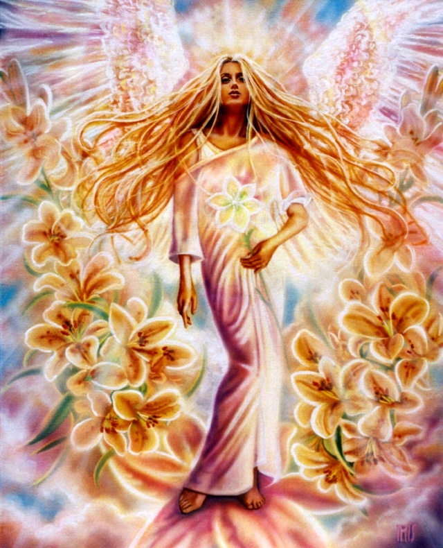 lily angel by lisa iris