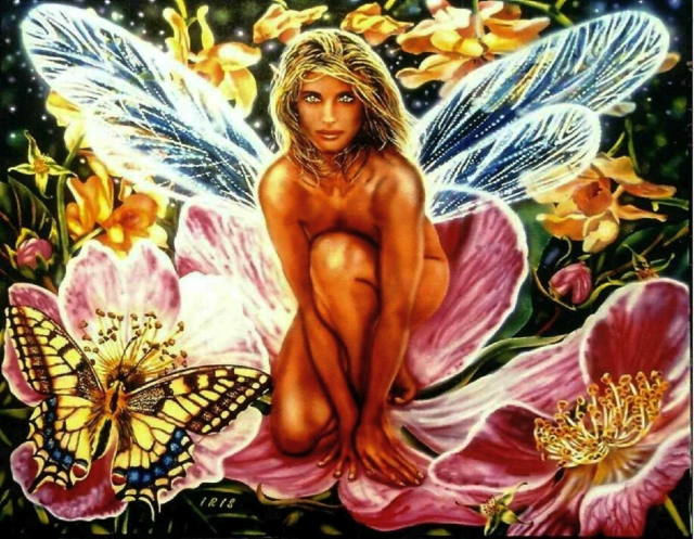 butterfly fairy by lisa iris