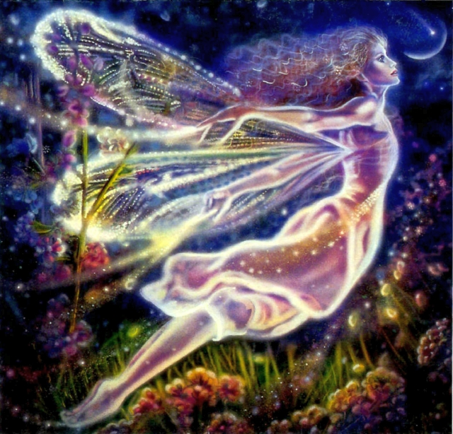 gossamer wings by lisa iris