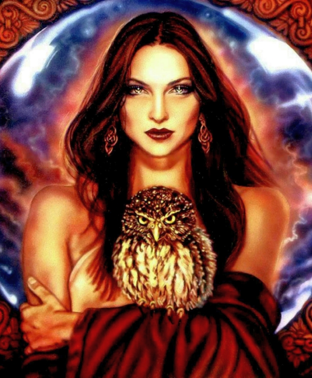 the seer by lisa iris